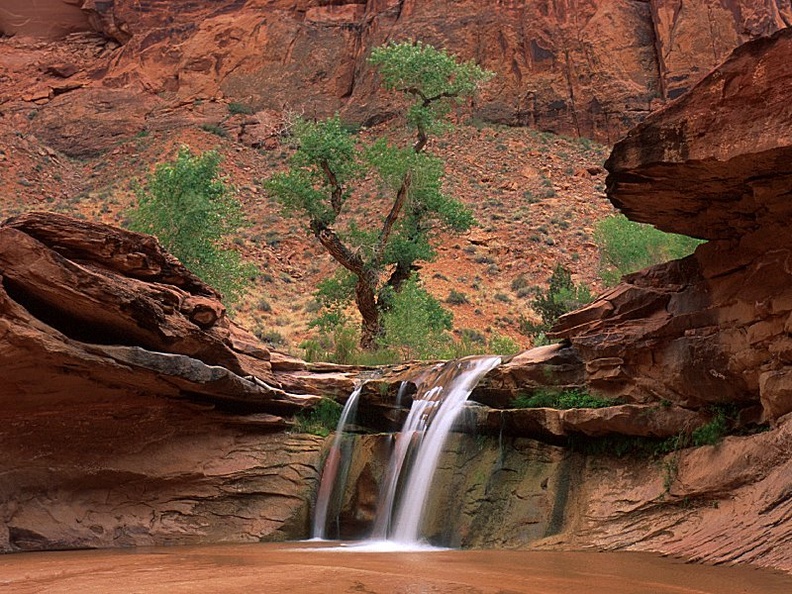 Coyote Gulch, Escalante River Canyons, Utah 1